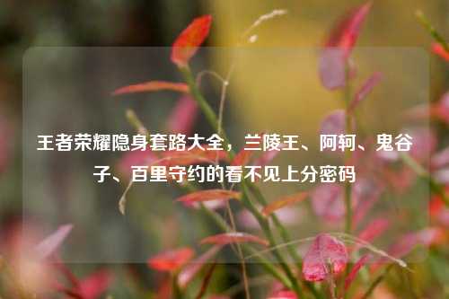 王者荣耀隐身套路大全，兰陵王、阿轲、鬼谷子、百里守约的看不见上分密码