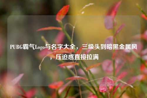 PUBG霸气Logo与名字大全,三级头到暗黑金属风,压迫感直接拉满