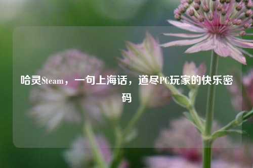 哈灵Steam，一句上海话，道尽PC玩家的快乐密码