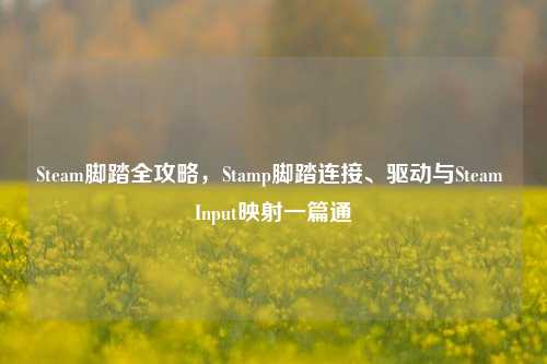 Steam脚踏全攻略,Stamp脚踏连接、驱动与Steam Input映射一篇通