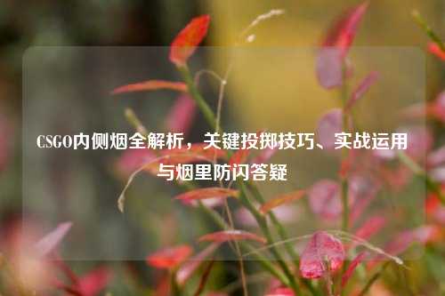 CSGO内侧烟全解析,关键投掷技巧、实战运用与烟里防闪答疑