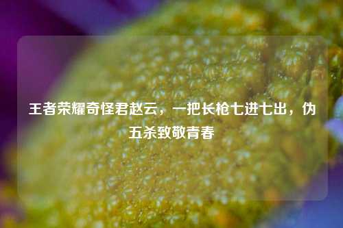 王者荣耀奇怪君赵云,一把长枪七进七出,伪五杀致敬青春