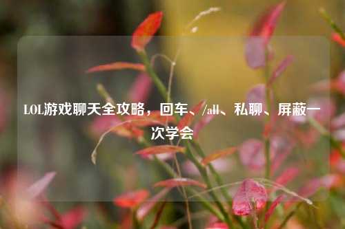 LOL游戏聊天全攻略,回车、/all、私聊、屏蔽一次学会