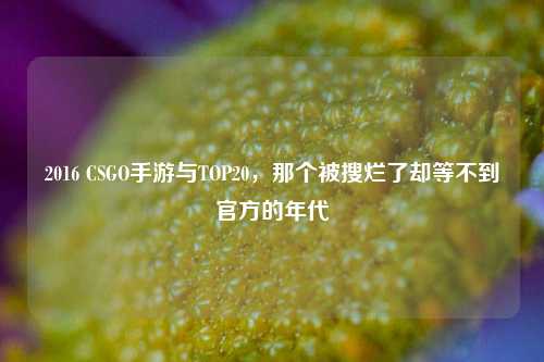2016 CSGO手游与TOP20,那个被搜烂了却等不到官方的年代