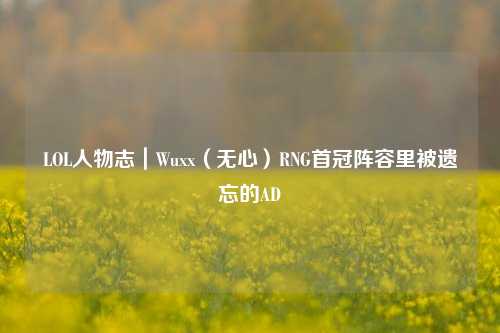 LOL人物志｜Wuxx（无心）RNG首冠阵容里被遗忘的AD