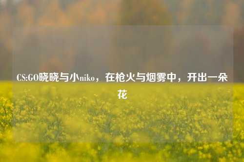 CS:GO晓晓与小niko，在枪火与烟雾中，开出一朵花