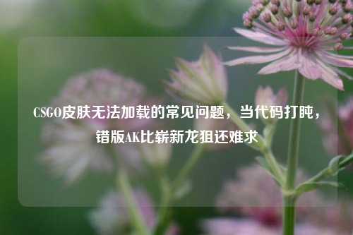 CSGO皮肤无法加载的常见问题,当代码打盹,错版AK比崭新龙狙还难求