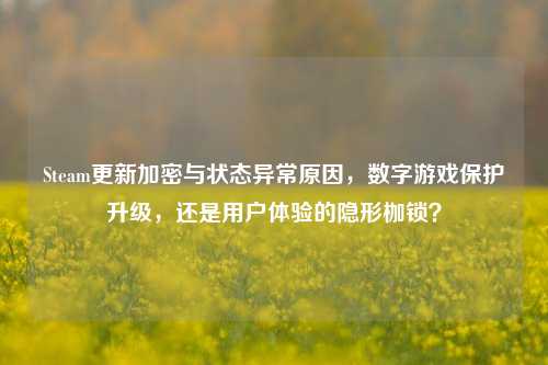 Steam更新加密与状态异常原因,数字游戏保护升级,还是用户体验的隐形枷锁?