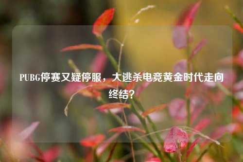 PUBG停赛又疑停服,大逃杀电竞黄金时代走向终结?