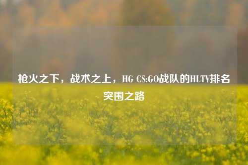 枪火之下,战术之上,HG CS:GO战队的HLTV排名突围之路