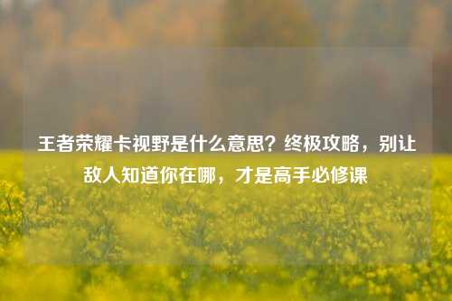 王者荣耀卡视野是什么意思?终极攻略,别让敌人知道你在哪,才是高手必修课