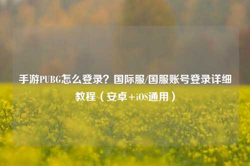 手游PUBG怎么登录？国际服/国服账号登录详细教程（安卓+iOS通用）