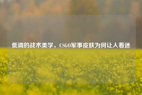 低调的战术美学,CSGO军事皮肤为何让人着迷