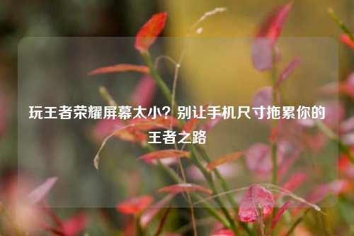 玩王者荣耀屏幕太小？别让手机尺寸拖累你的王者之路