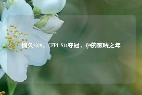 情久2019,CFPL S14夺冠,Q9的破晓之年
