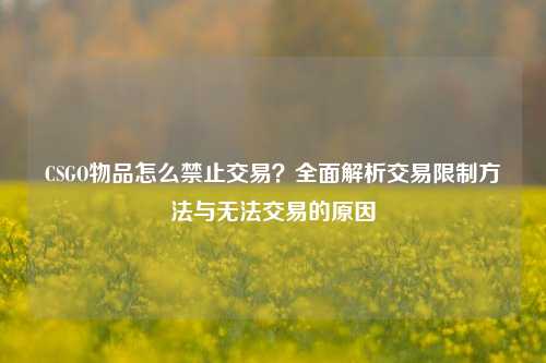 CSGO物品怎么禁止交易?全面解析交易限制方法与无法交易的原因