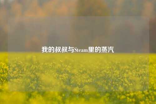 我的叔叔与Steam里的蒸汽
