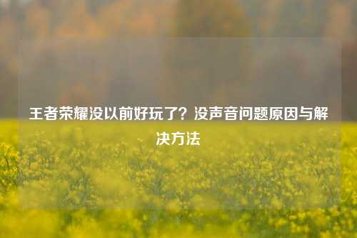 王者荣耀没以前好玩了？没声音问题原因与解决方法