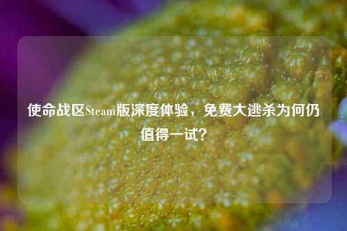 使命战区Steam版深度体验,免费大逃杀为何仍值得一试?