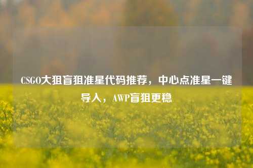 CSGO大狙盲狙准星代码推荐,中心点准星一键导入,AWP盲狙更稳