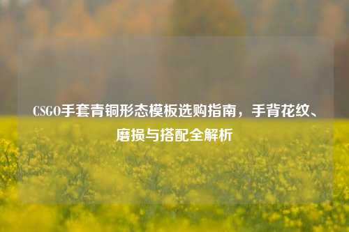 CSGO手套青铜形态模板选购指南，手背花纹、磨损与搭配全解析