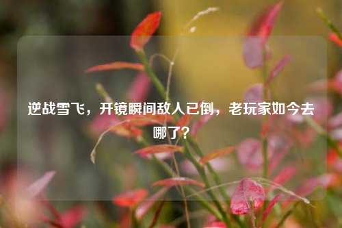 逆战雪飞，开镜瞬间敌人已倒，老玩家如今去哪了？