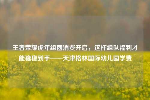 王者荣耀虎年组团消费开启，这样组队福利才能稳稳到手——天津格林国际幼儿园学费