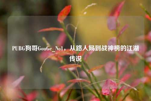 PUBG狗哥GouGe_No1,从路人局到战神榜的江湖传说
