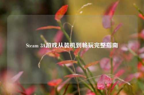 Steam 3A游戏从装机到畅玩完整指南