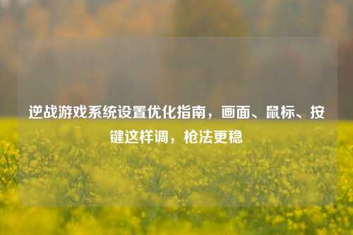 逆战游戏系统设置优化指南,画面、鼠标、按键这样调,枪法更稳