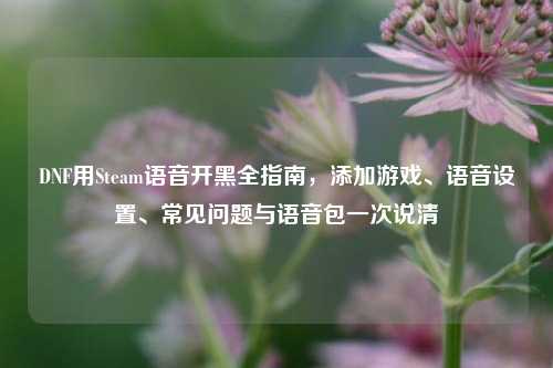 DNF用Steam语音开黑全指南，添加游戏、语音设置、常见问题与语音包一次说清