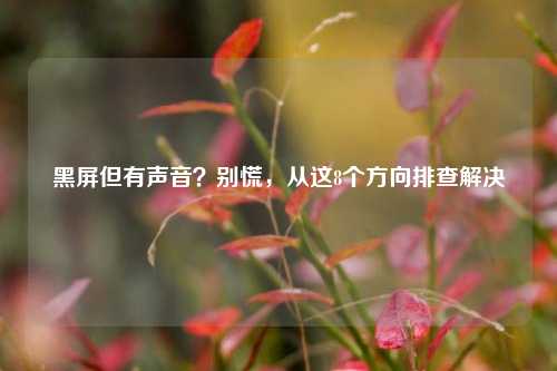 黑屏但有声音?别慌,从这8个方向排查解决