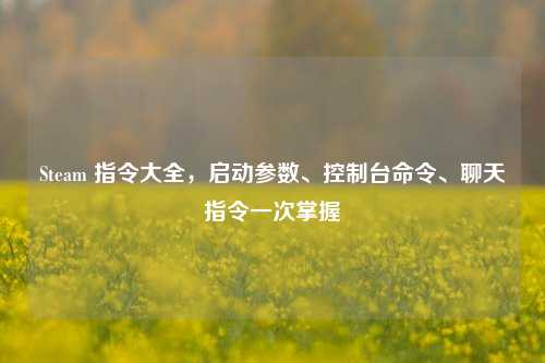 Steam 指令大全，启动参数、控制台命令、聊天指令一次掌握