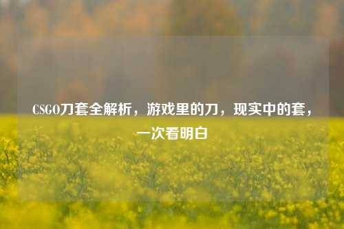 CSGO刀套全解析,游戏里的刀,现实中的套,一次看明白