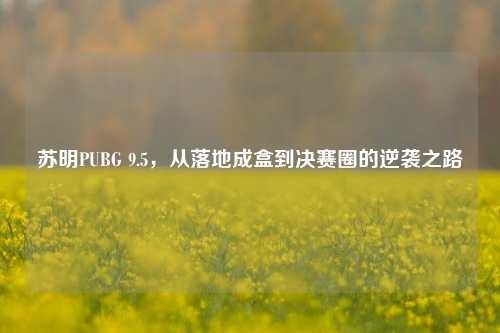 苏明PUBG 9.5,从落地成盒到决赛圈的逆袭之路