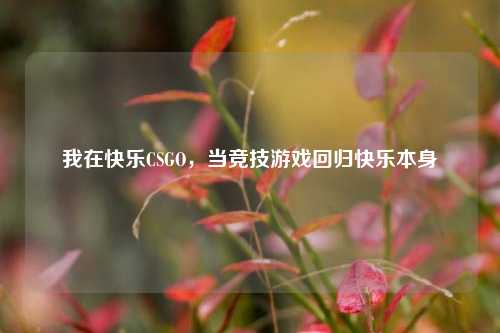 我在快乐CSGO，当竞技游戏回归快乐本身