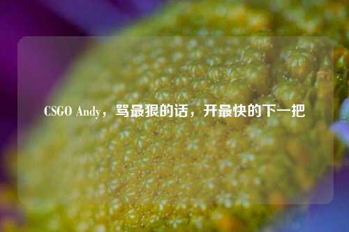 CSGO Andy，骂最狠的话，开最快的下一把