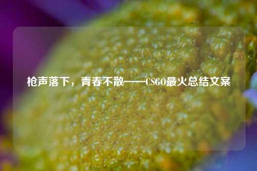 枪声落下，青春不散——CSGO最火总结文案