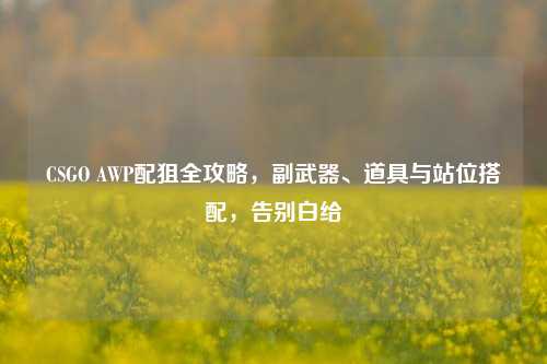 CSGO AWP配狙全攻略,副武器、道具与站位搭配,告别白给