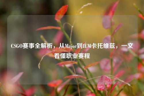CSGO赛事全解析,从Major到IEM卡托维兹,一文看懂职业赛程