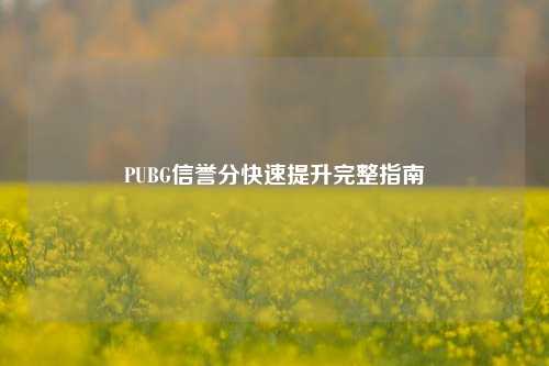PUBG信誉分快速提升完整指南