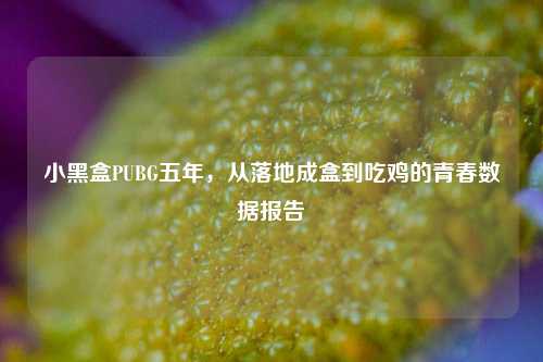 小黑盒PUBG五年，从落地成盒到吃鸡的青春数据报告