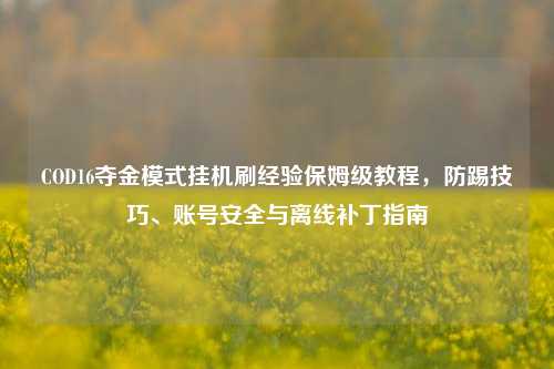 COD16夺金模式挂机刷经验保姆级教程，防踢技巧、账号安全与离线补丁指南