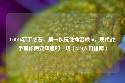 COD16新手必看,第一次玩使命召唤16,现代战争前你需要知道的一切(XIM入门指南)