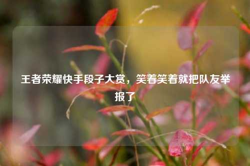 王者荣耀快手段子大赏，笑着笑着就把队友举报了
