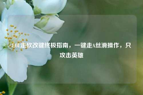 LOL走砍改键终极指南,一键走A丝滑操作,只攻击英雄