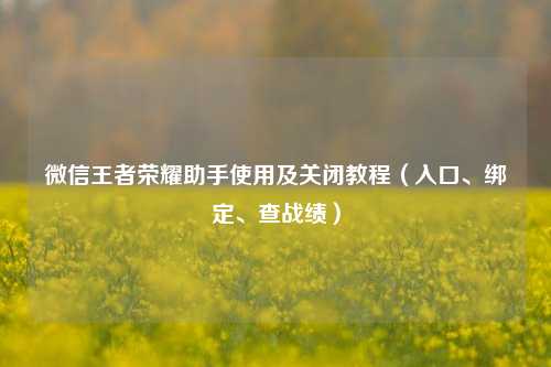 微信王者荣耀助手使用及关闭教程(入口、绑定、查战绩)