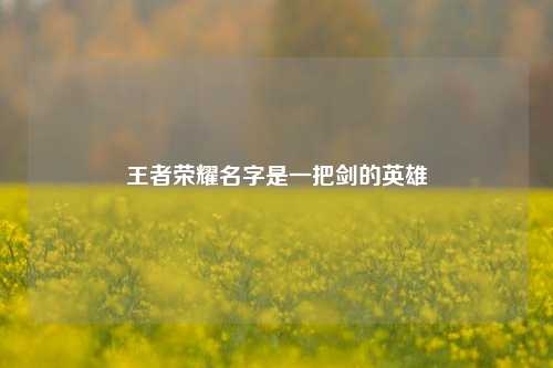 王者荣耀名字是一把剑的英雄