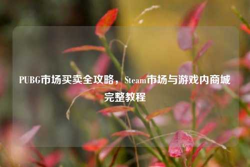 PUBG市场买卖全攻略，Steam市场与游戏内商城完整教程