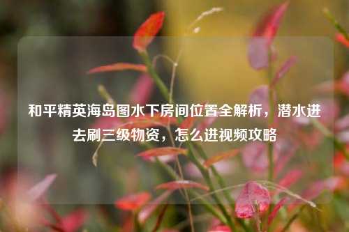 和平精英海岛图水下房间位置全解析,潜水进去刷三级物资,怎么进视频攻略